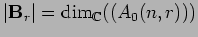 $\vert{\bf B}_r\vert={\rm dim}_{{\mathbb{C}}}{((A_0(n,r)))}$