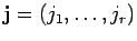 ${\bf j}=(j_1, \ldots , j_r)$