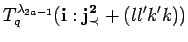 $\displaystyle T^{\lambda_{2a-1}}_q({\bf i}:{\bf {j}^2_{\prec}}+(ll'k'k))$