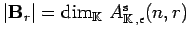 $ \vert{\bf B}_r\vert=\dim_{{\mathbb{K}}\,} A^{{\rm s}}_{{\mathbb{K}}\,, \epsilon}(n,r)$