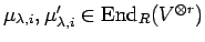 $ \mu_{\lambda,i}, \mu'_{\lambda,i}\in {\rm End}_{R}{(V^{\otimes r})}$