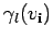 $ \gamma_l(v_{{\bf i}})$