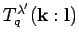 $ T^{\lambda '}_q({\bf k}:{\bf l})$